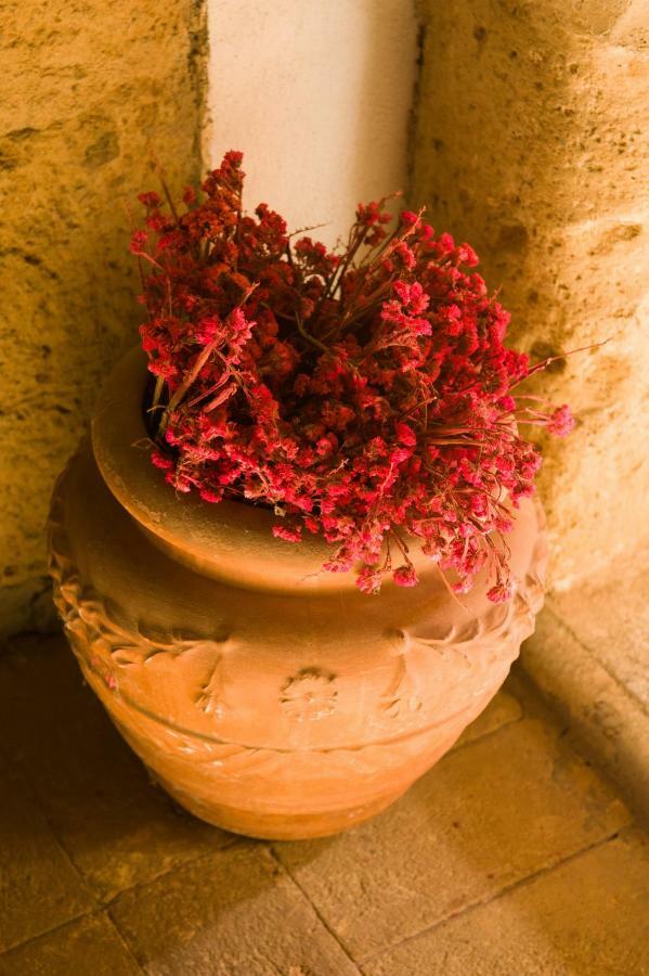 Palazzo Contino Appartement Bagnoregio Buitenkant foto
